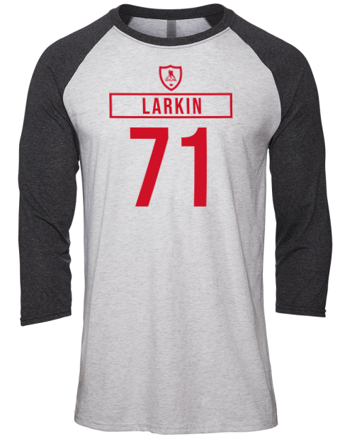 Home Jersey Dylan Larkin Unisex Premium Three-Quarter Raglan T-Shirt | Swagsta