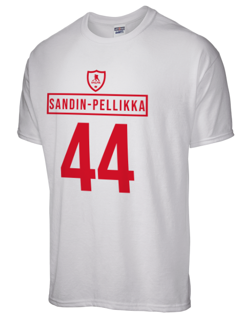 Home Jersey 1229-2 Axel Pellikka Dri-Power Unisex T-Shirt | Swagsta