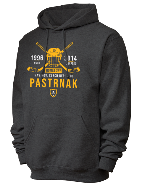 Heritage David Pastrnak Unisex Hooded Sweatshirt | Swagsta