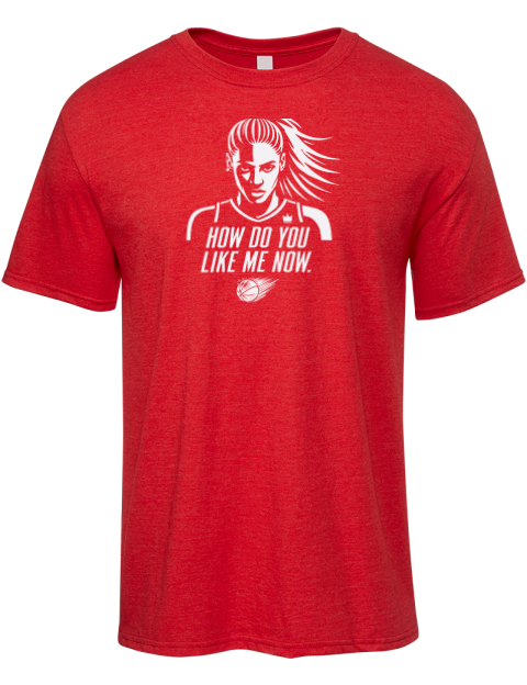 How Do You Like Me Now She Got Game Premium Ring-Spun Cotton Unisex T-Shirt | Swagsta