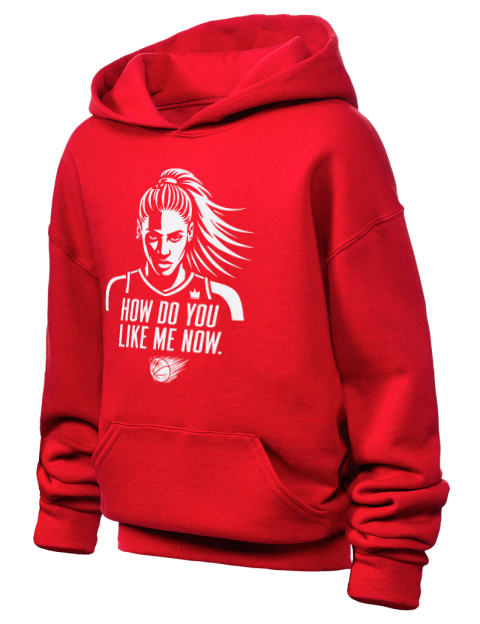 How Do You Like Me Now She Got Game Youth Hooded Sweatshirt | Swagsta