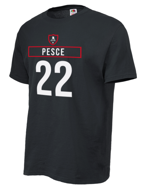 Away Jersey Brett Pesce Unisex T-Shirt | Swagsta