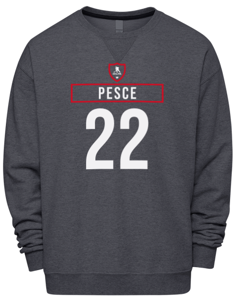 Away Jersey Brett Pesce Premium Unisex Crewneck Sweatshirt | Swagsta