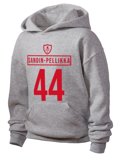 Home Jersey 1229-2 Axel Pellikka Youth Hooded Sweatshirt | Swagsta