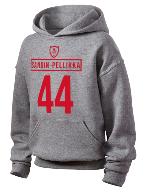 Home Jersey 1229-2 Axel Pellikka Youth Hooded Sweatshirt | Swagsta